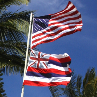 US and Hawaii flags waving in wind with palm trees in background